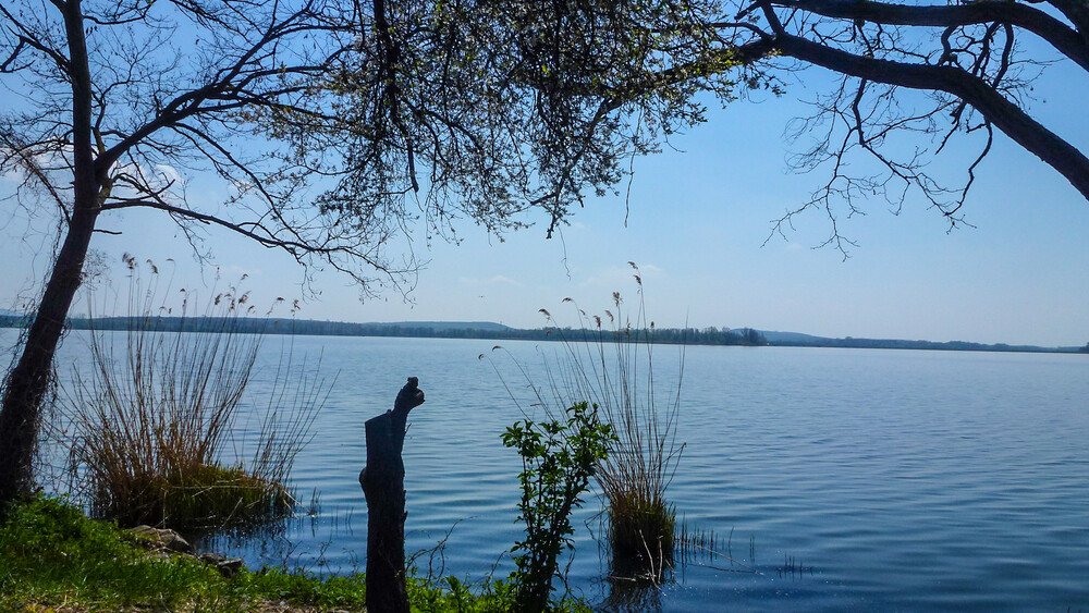 Pasohlávky - Nové Mlýny Reservoir