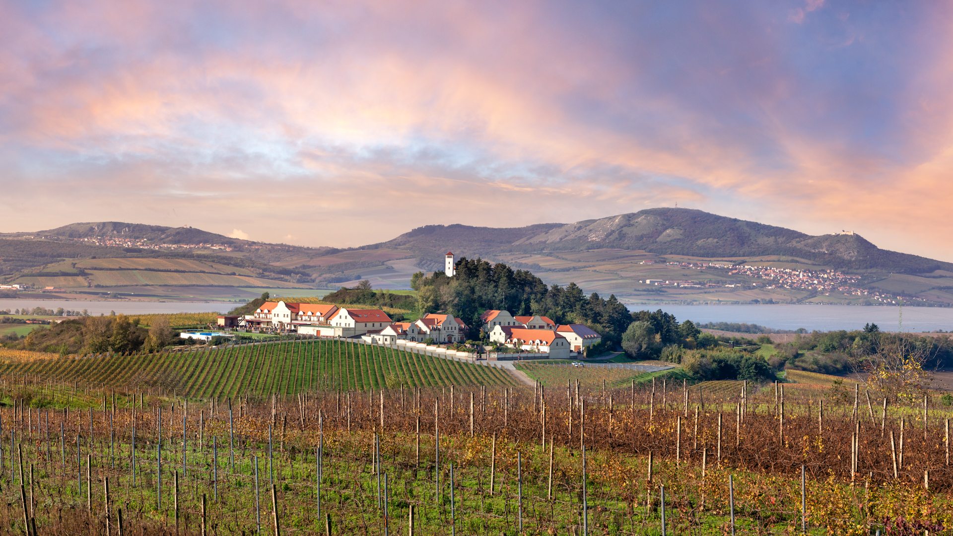 Team building in South Moravian vineyards