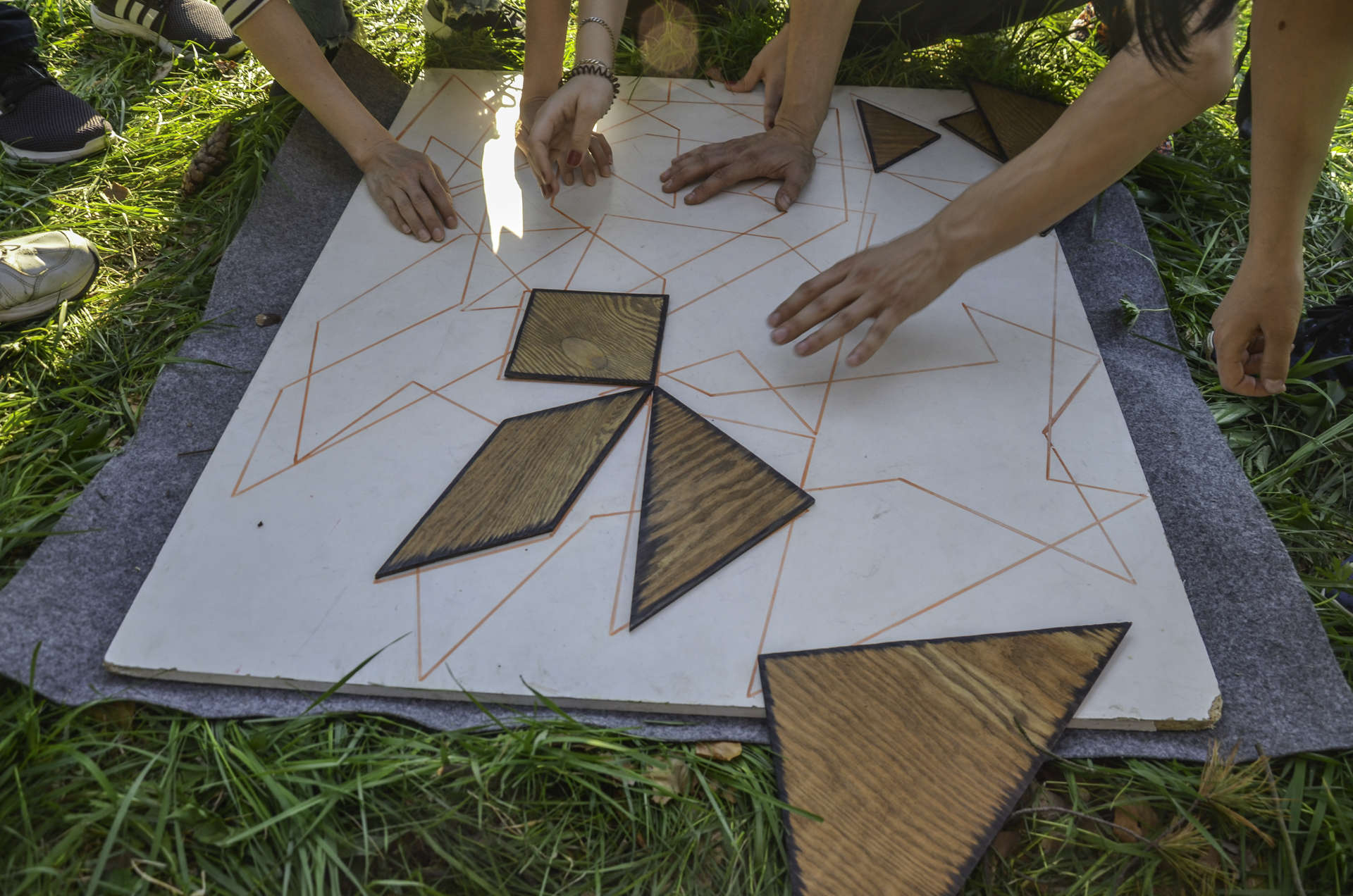 Animal tangrams